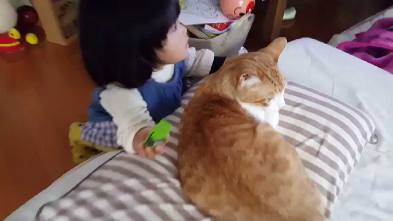 仲良しの赤ちゃんと猫ちゃん ペットメディアlotty ロッティ