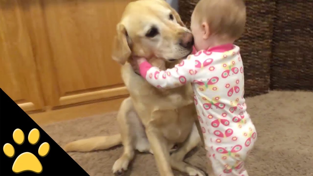 赤ちゃんと犬って本当に可愛い2つのコラボレーション！ 【ペットメディアLotty(ロッティ)】